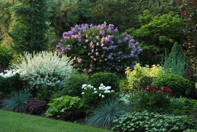 Trusted garden landscaping for beautiful yards in Roselle Park, NJ by Willie's Lawn Care Services