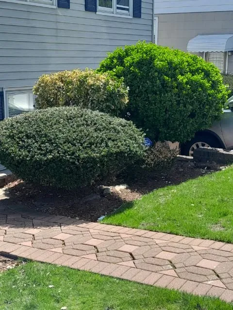 Custom residential landscaping with custom design across Wood-Ridge, NJ - Willie’s Lawn Care