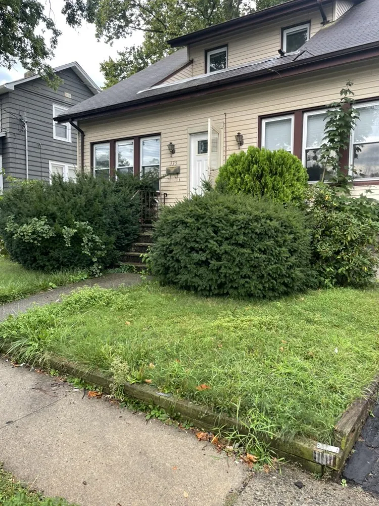 Professional landscape design in Wood-Ridge, NJ - Willie’s Lawn Care
