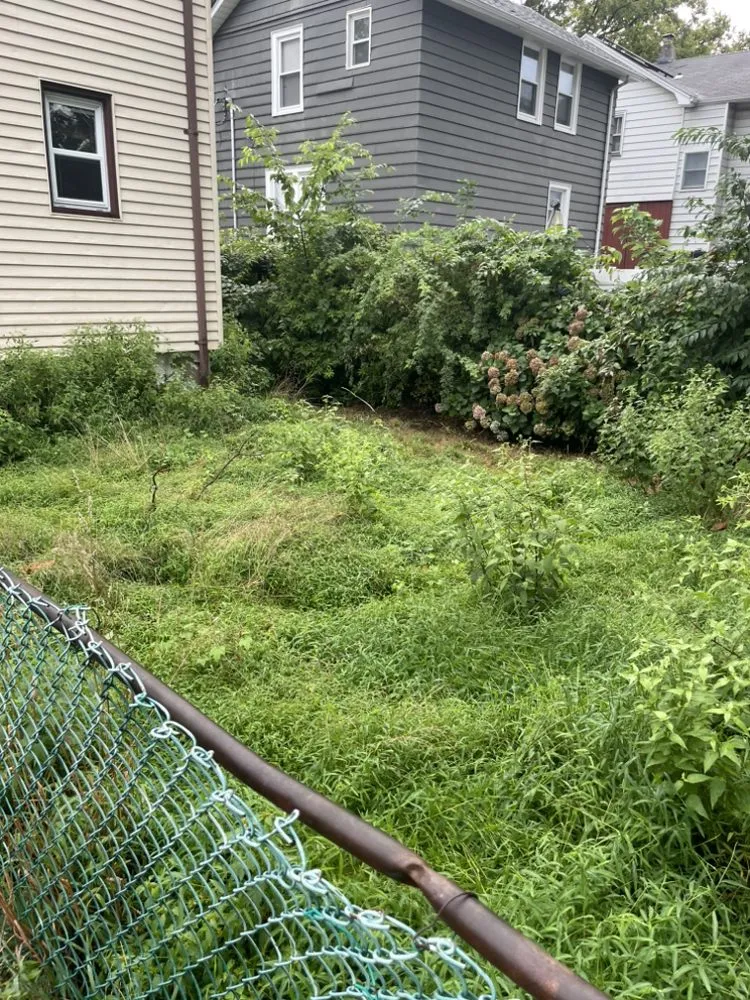 Reliable yard maintenance in Wood-Ridge, NJ by Willie’s Lawn Care