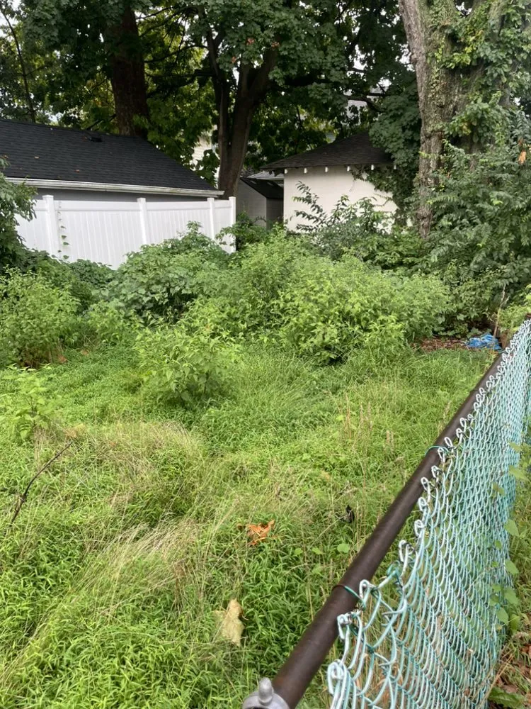 Professional lawn care service for beautiful yards across Wood-Ridge, NJ - Willie’s Lawn Care
