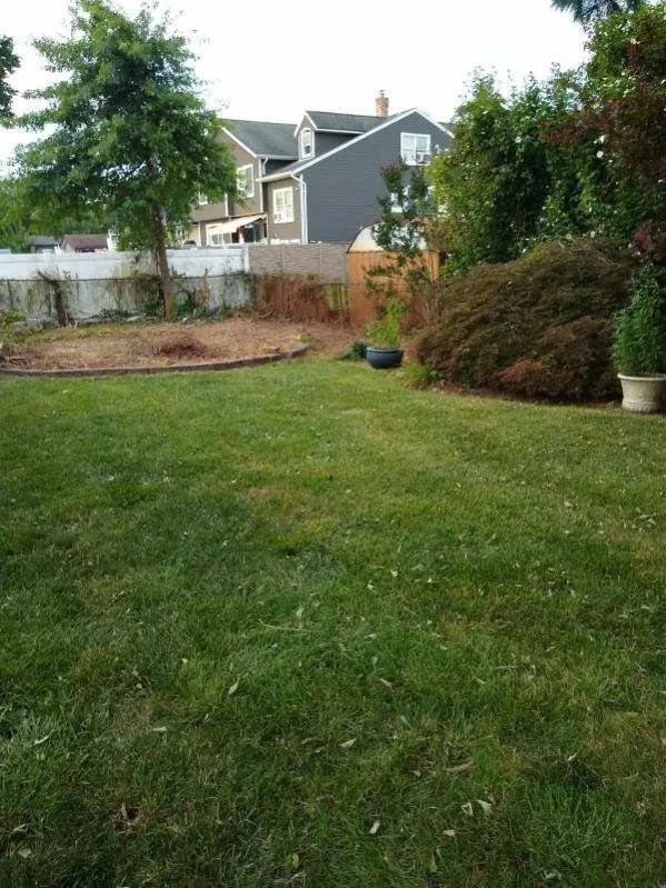 Local lawn care service in Wood-Ridge, NJ - Willie’s Lawn Care