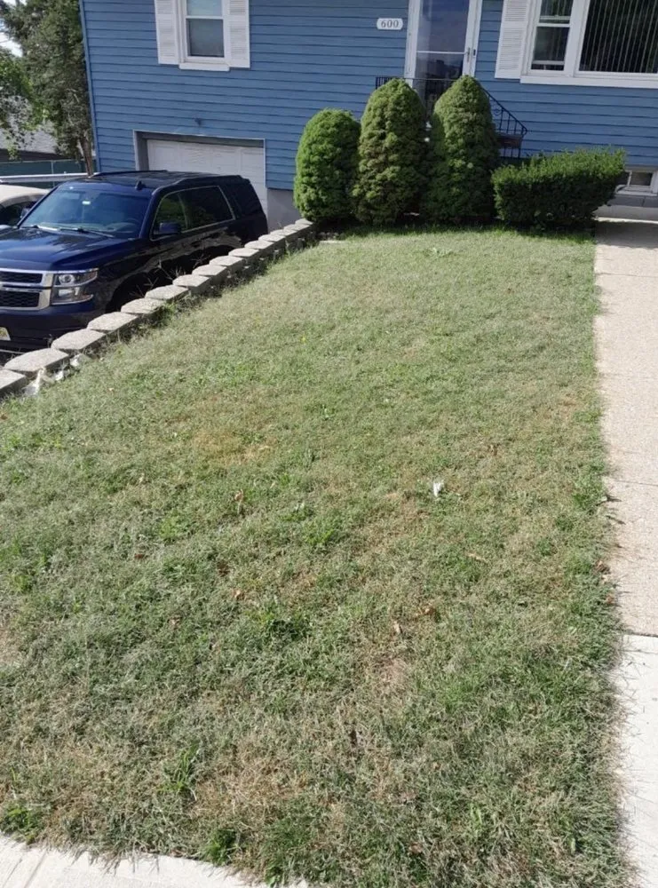 Top-rated lawn mowing service for beautiful yards across Wood-Ridge, NJ - Willie’s Lawn Care