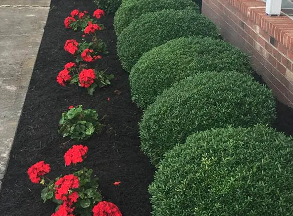 Affordable yard maintenance in Snow Hill, MD - Willie's Lawncare