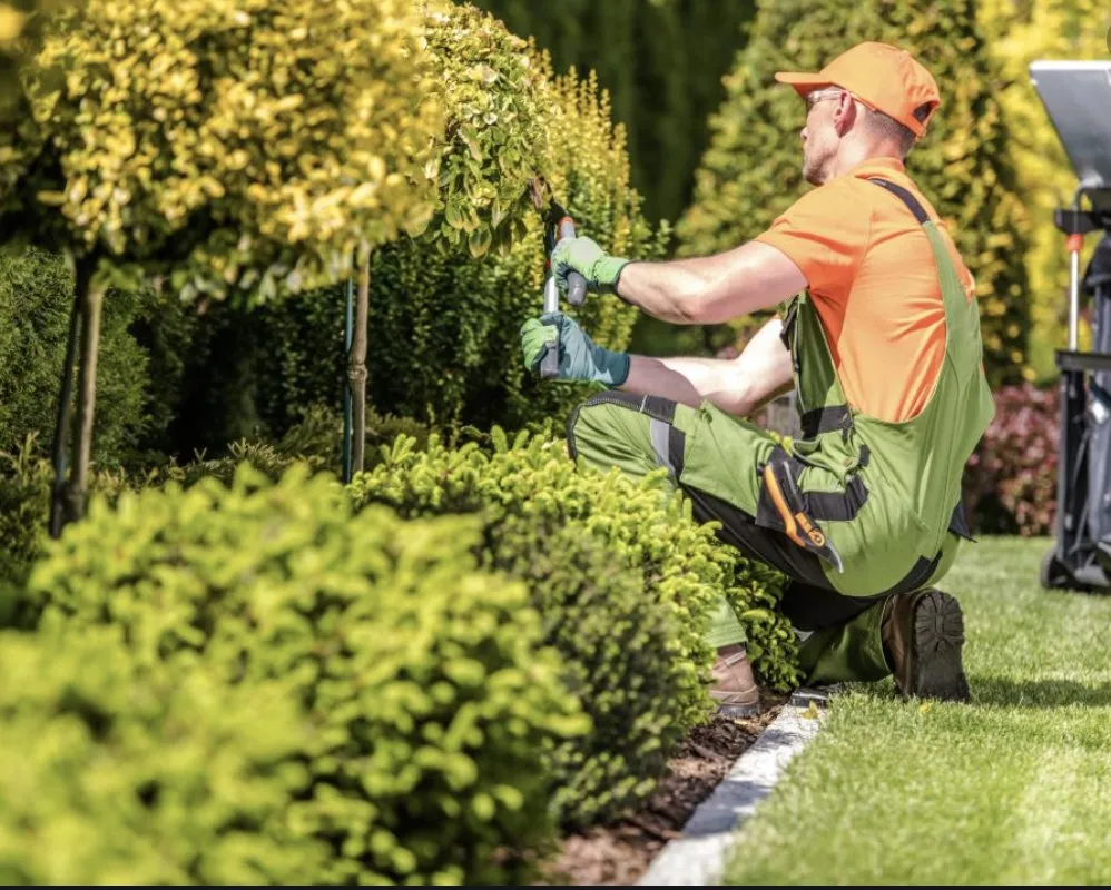 Local landscape design in Odessa, TX - Willies Yard Tree and Lawn care