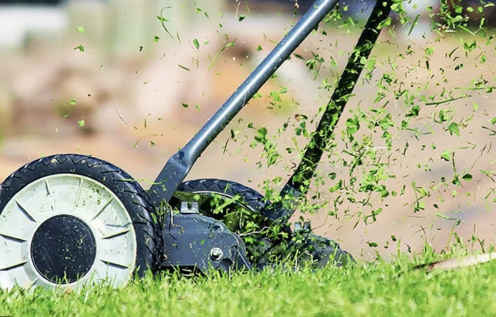 Affordable lawn care service near you across Odessa, TX - Willies Yard Tree and Lawn care