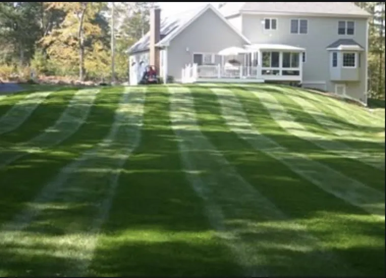 Professional yard maintenance for outdoor upgrades in Odessa, TX by Willies Yard Tree and Lawn care