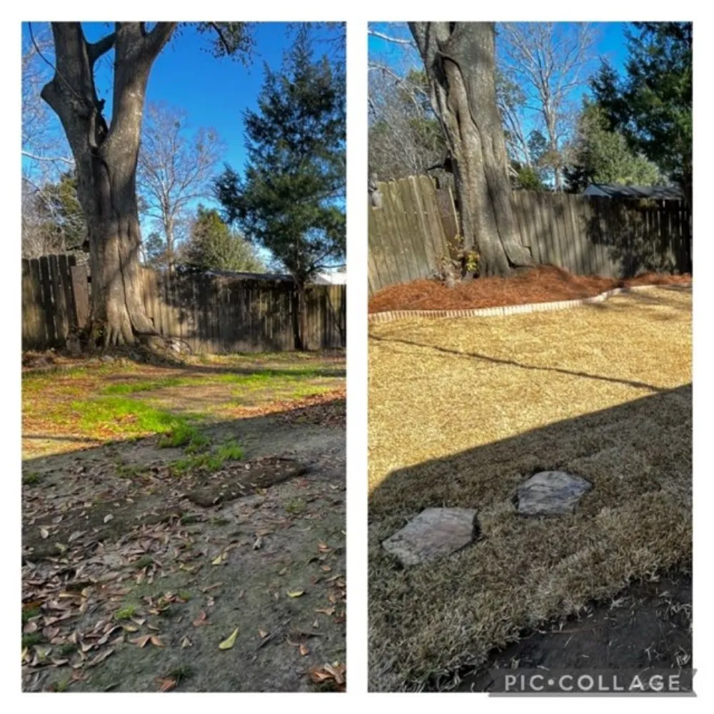 Expert landscaping services near you across Mobile, AL - Willing 2 Work