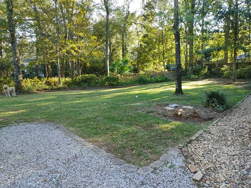 Affordable landscaping services in Mobile, AL by Willing 2 Work