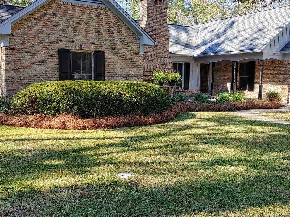 Reliable outdoor landscaping for year-round maintenance across Mobile, AL - Willing 2 Work