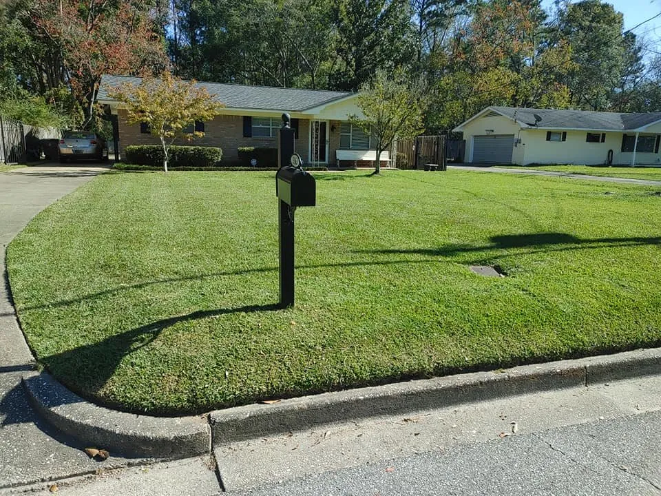 Professional lawn care service in Mobile, AL - Willing 2 Work