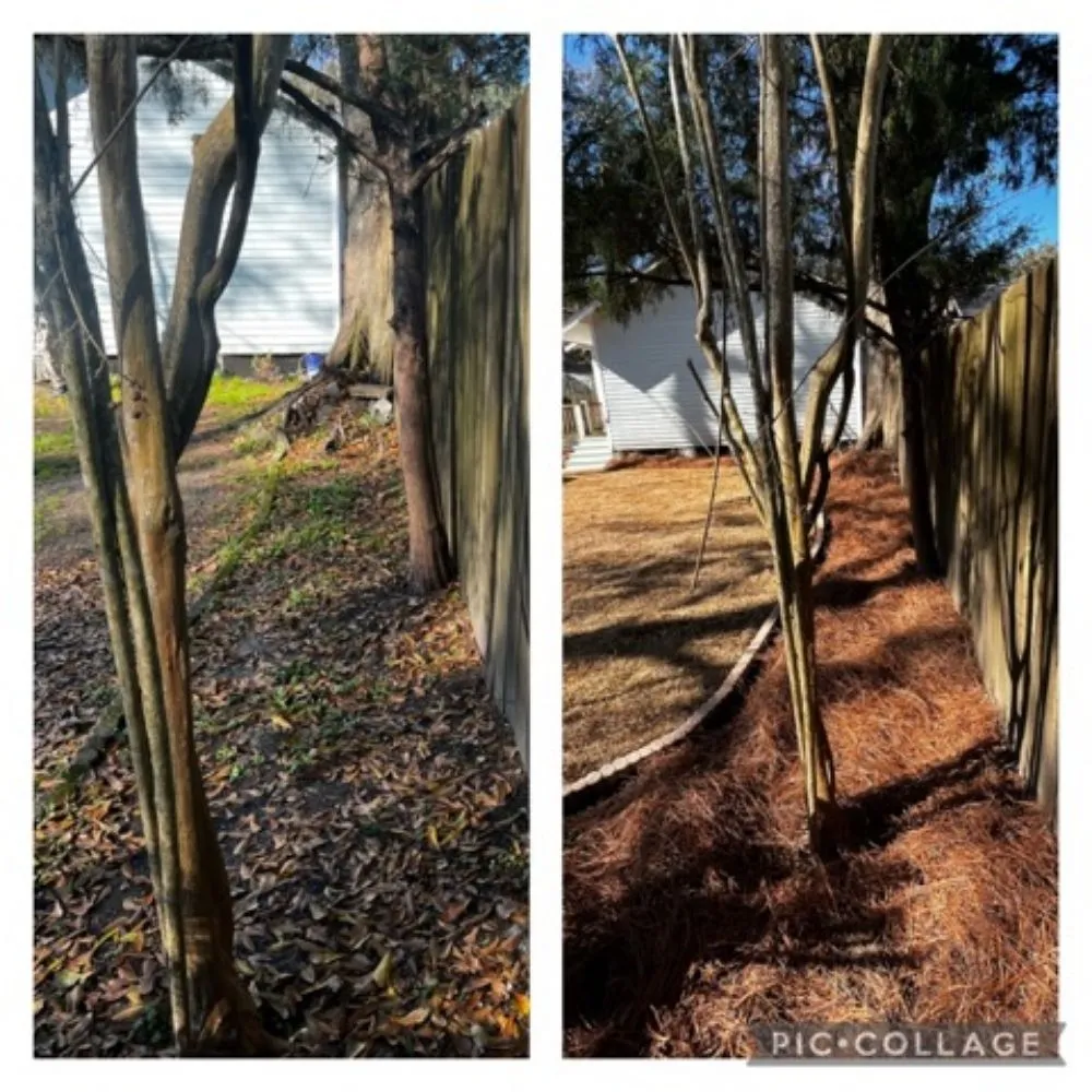 Professional residential landscaping in Mobile, AL - Willing 2 Work