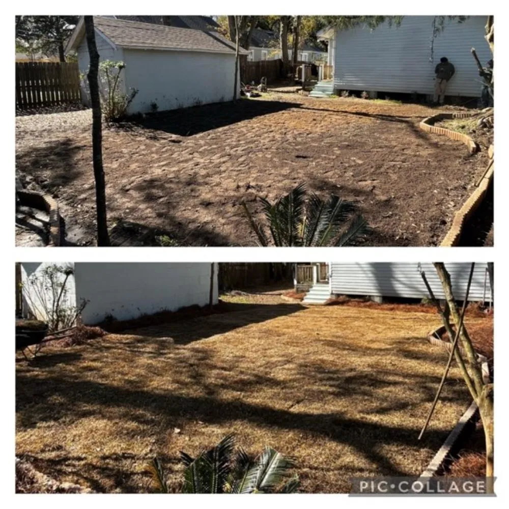 Reliable yard maintenance with custom design in Mobile, AL by Willing 2 Work