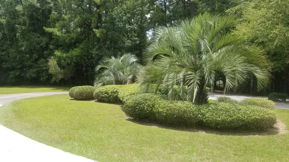 Expert landscape design in Mobile, AL by Willing 2 Work