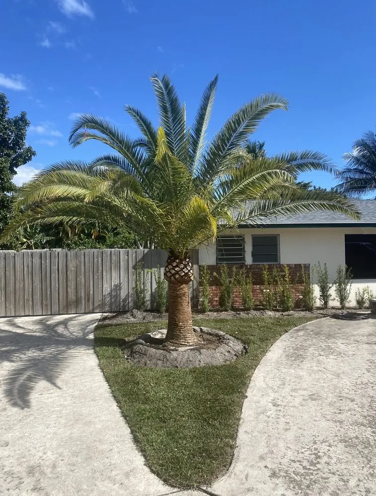 Custom landscape design in Boynton Beach, FL - Willingham Landscape Designs