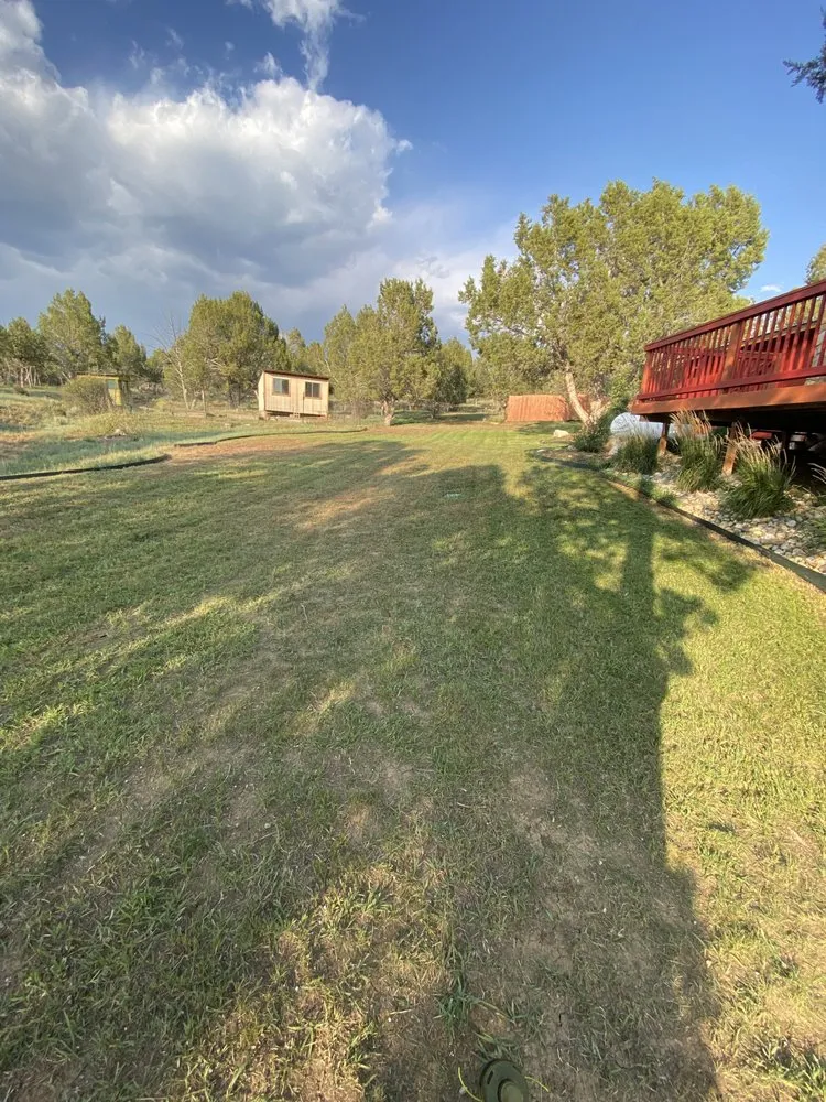Expert yard maintenance for beautiful yards across Estes Park, CO - Willis Construction