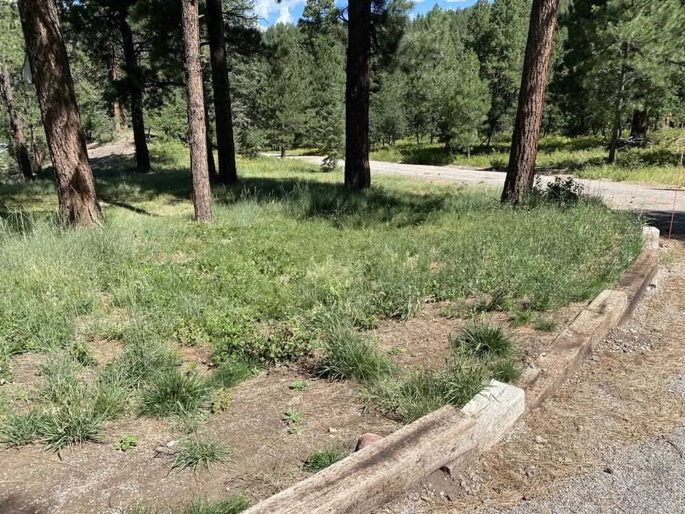 Reliable lawn care service with custom design across Estes Park, CO - Willis Construction