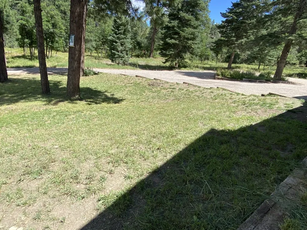 Custom residential landscaping for beautiful yards across Estes Park, CO - Willis Construction