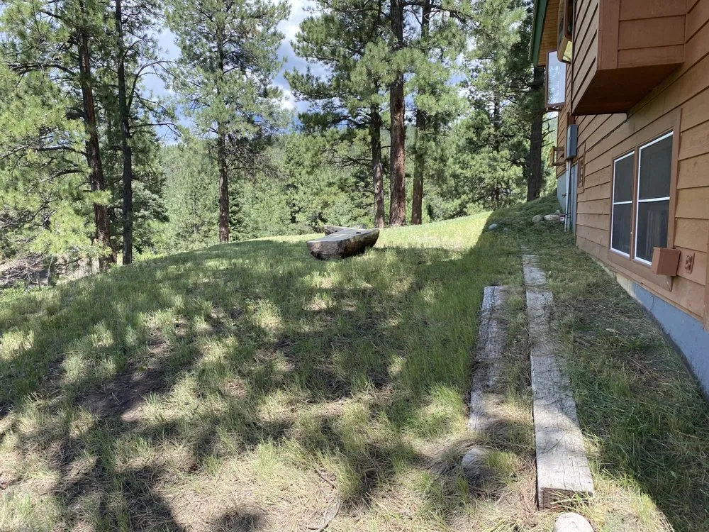 Trusted yard cleanup service experts serving Estes Park, CO - Willis Construction