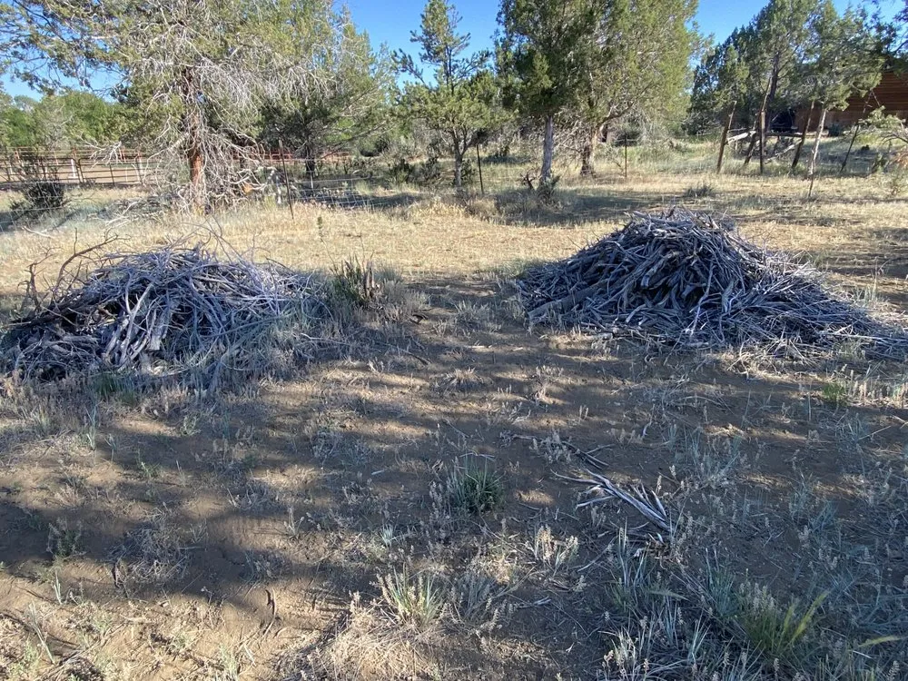 Affordable lawn care service in Estes Park, CO by Willis Construction