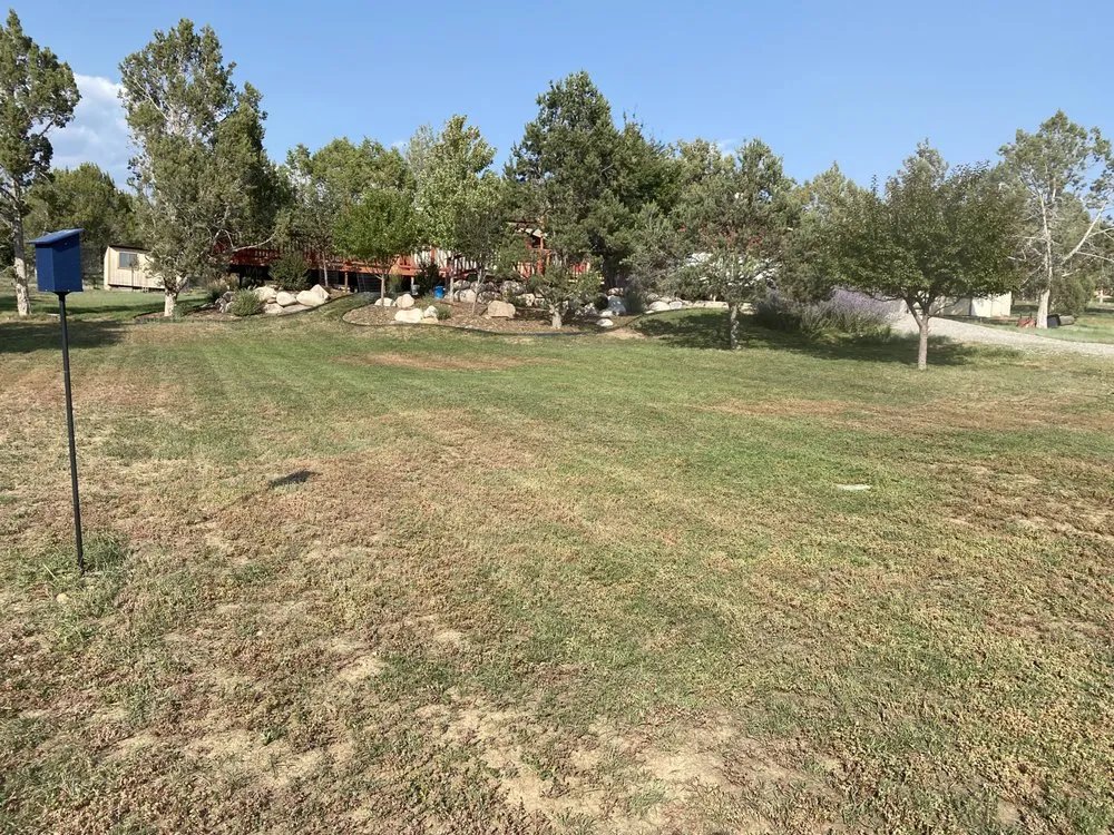 Reliable yard maintenance in Estes Park, CO by Willis Construction