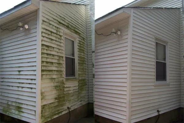 Affordable yard maintenance for beautiful yards in Jennings, FL by Willis Handy Service