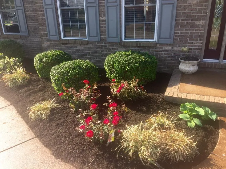 Local outdoor landscaping for residential properties in Evansville, IN by Willis Landscape and Concrete