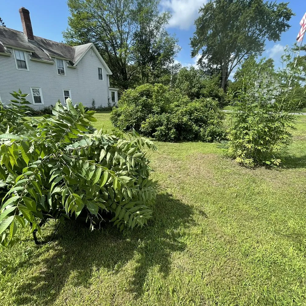 Professional outdoor landscaping for homes in Dover-Foxcroft, ME by Willis Landscaping