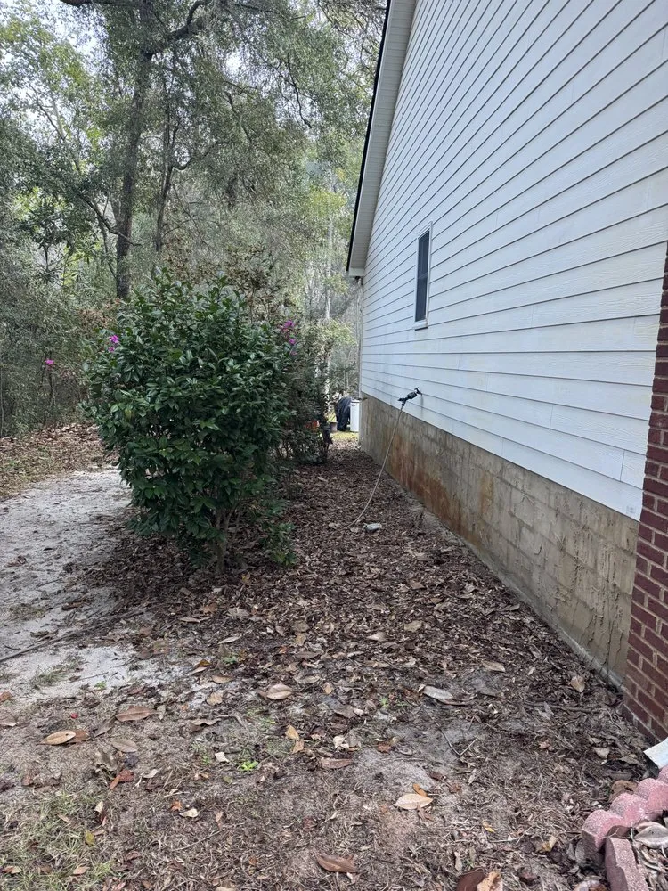 Top-rated residential landscaping for beautiful yards in Crawfordville, FL by Willis Lawn And Forestry