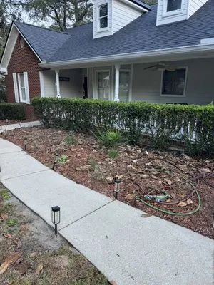 Willis Lawn And Forestry Logo