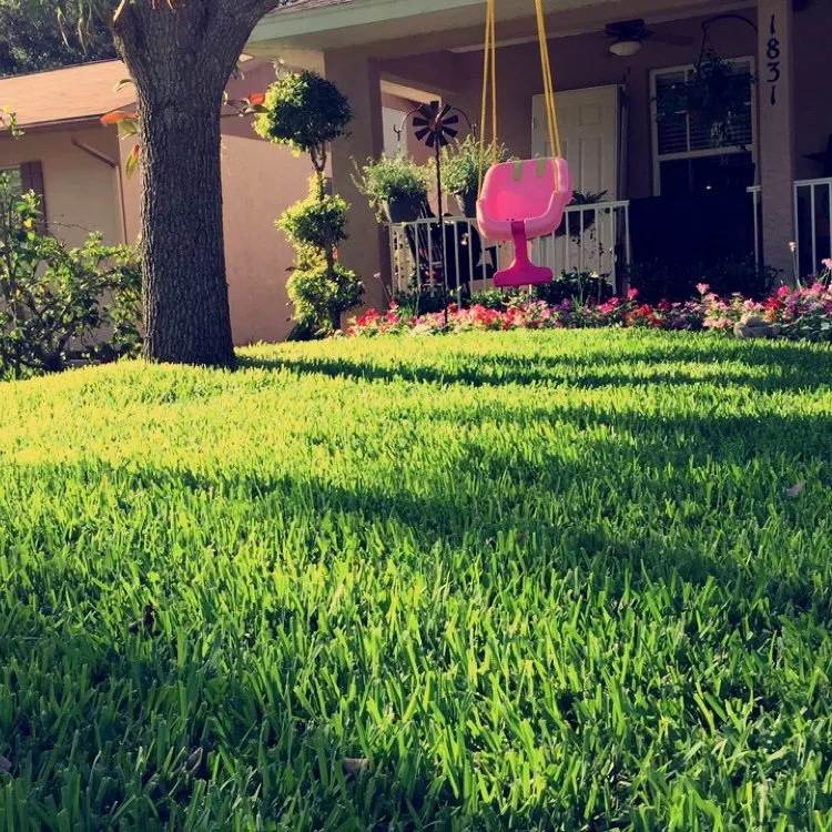 Reliable garden landscaping for beautiful yards across Sarasota, FL - Willis Lawn and Landscape