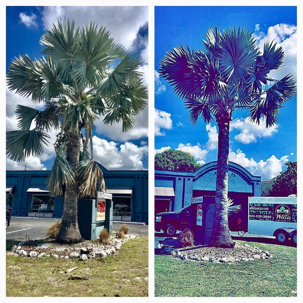 Professional outdoor landscaping near you across Sarasota, FL - Willis Lawn and Landscape