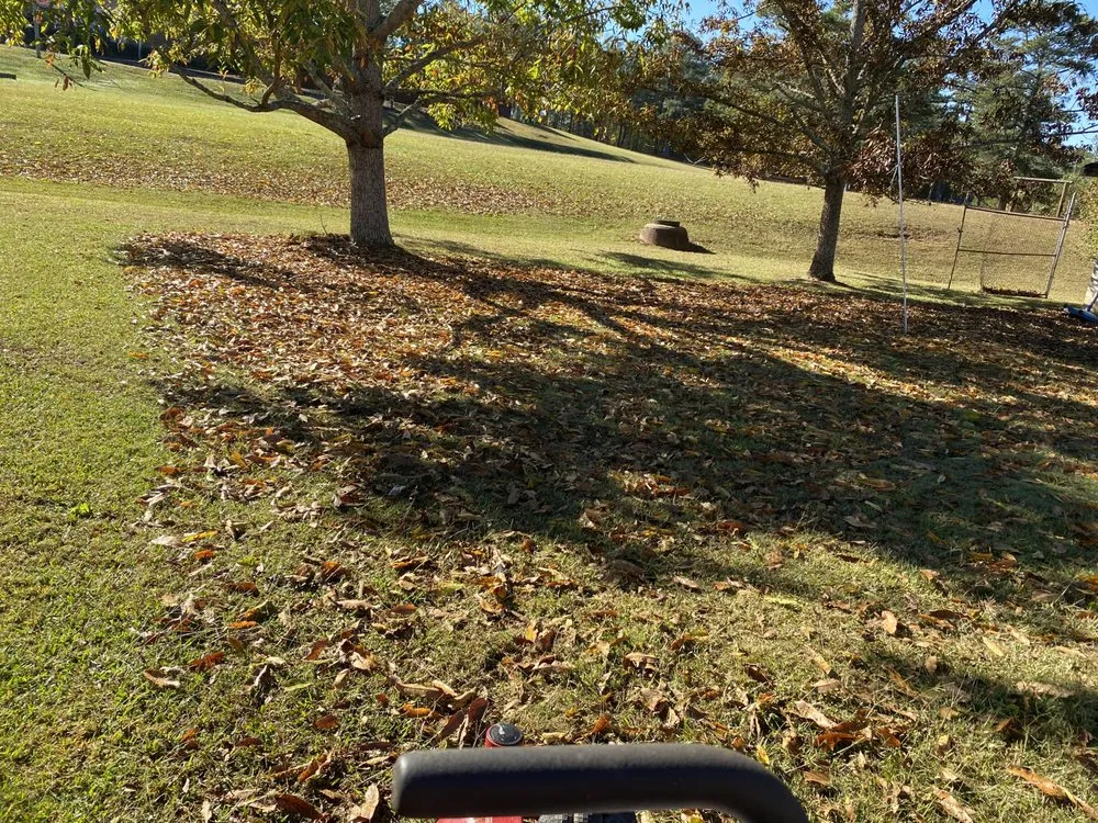 Affordable garden landscaping experts serving Gay, GA - Willis Lawn Care