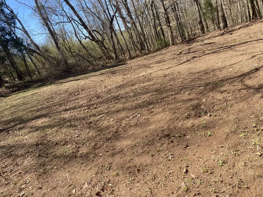 Top-rated landscape design in Gay, GA - Willis Lawn Care
