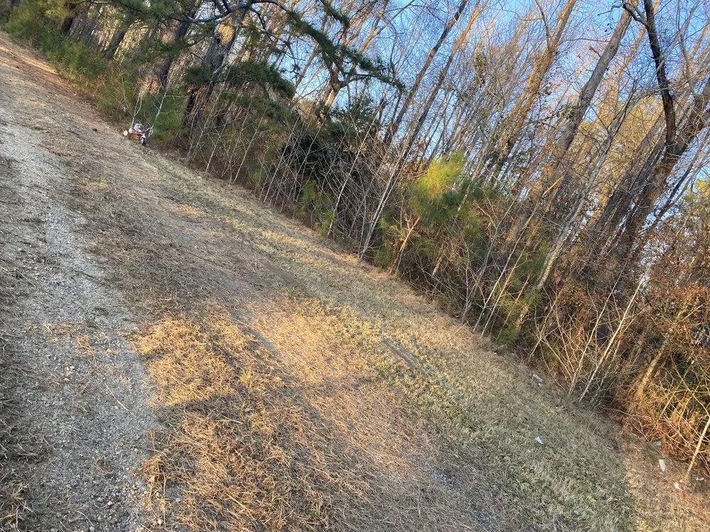 Custom landscape installation in Gay, GA - Willis Lawn Care
