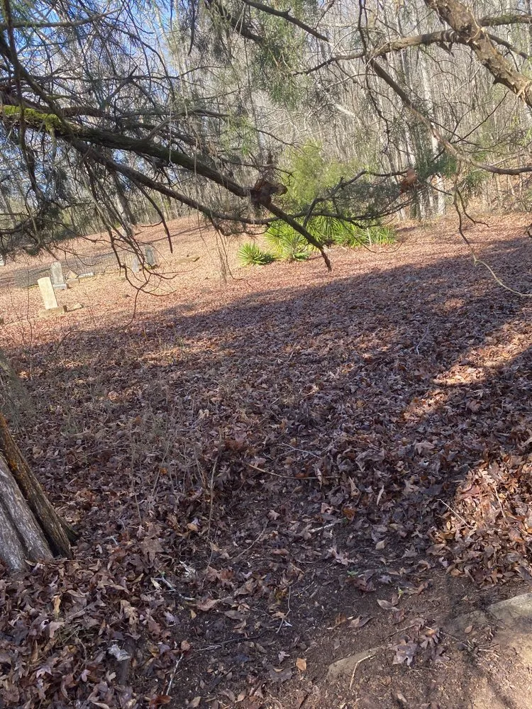 Trusted lawn mowing service for year-round maintenance in Gay, GA by Willis Lawn Care