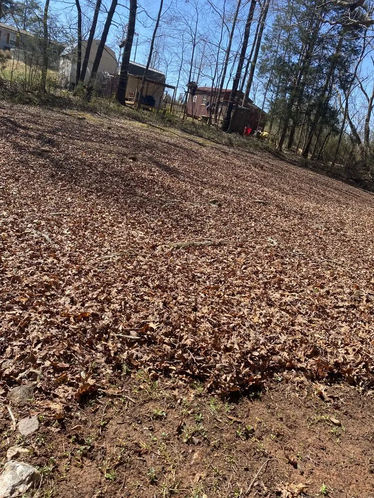 Reliable garden landscaping in Gay, GA by Willis Lawn Care