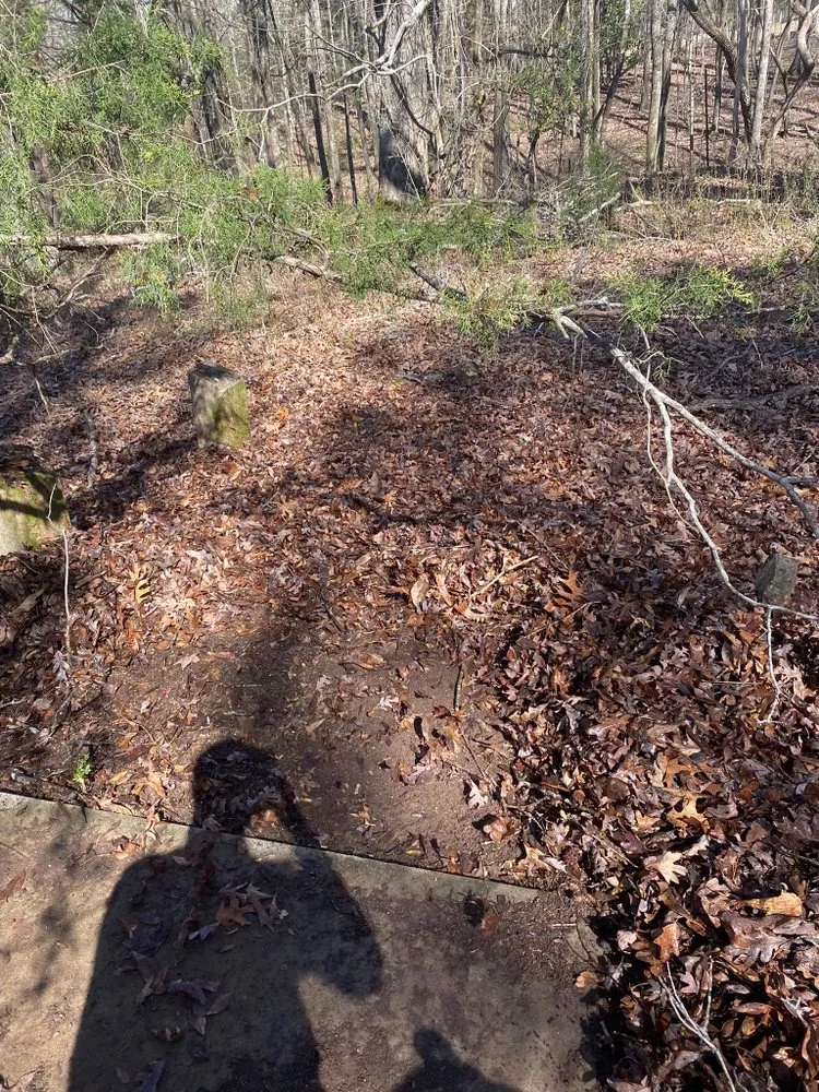 Trusted outdoor landscaping in Gay, GA by Willis Lawn Care