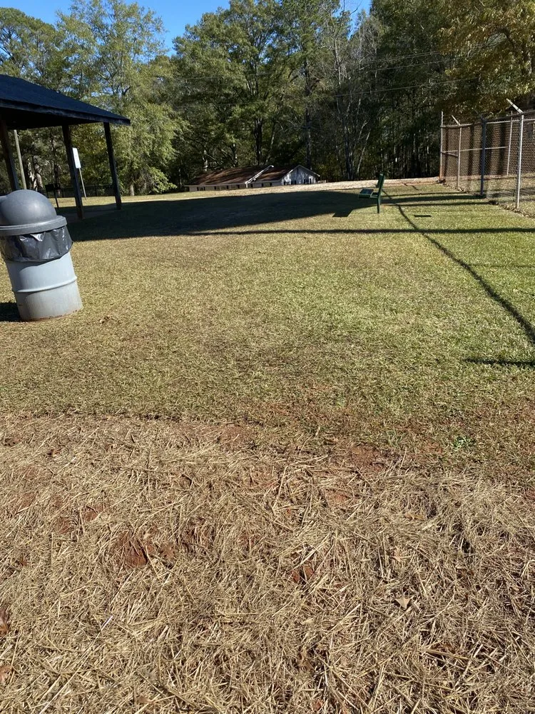 Affordable lawn mowing service for residential properties across Gay, GA - Willis Lawn Care