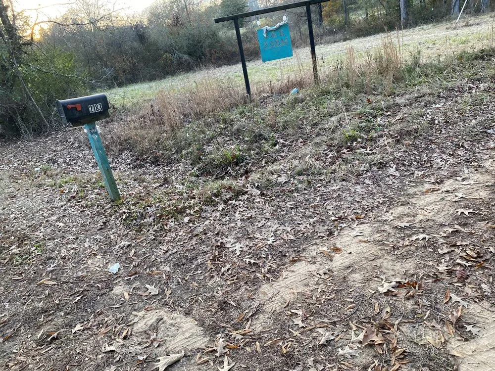 Expert landscaping services in Gay, GA - Willis Lawn Care