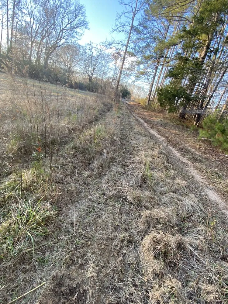 Reliable landscaping services in Gay, GA by Willis Lawn Care