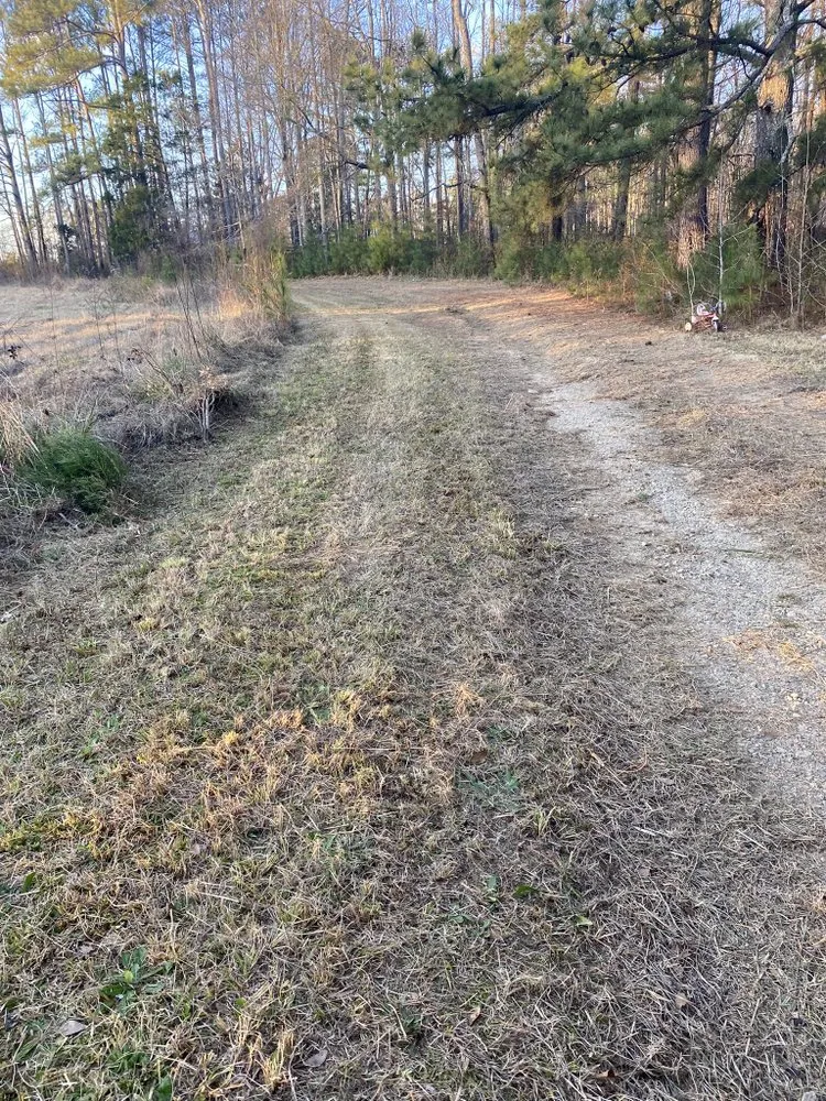 Professional lawn care service for beautiful yards across Gay, GA - Willis Lawn Care