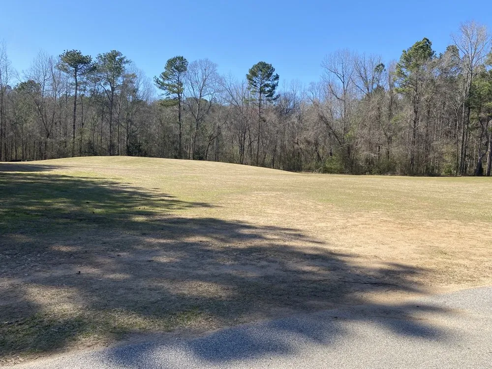 Affordable yard maintenance for homes across Gay, GA - Willis Lawn Care