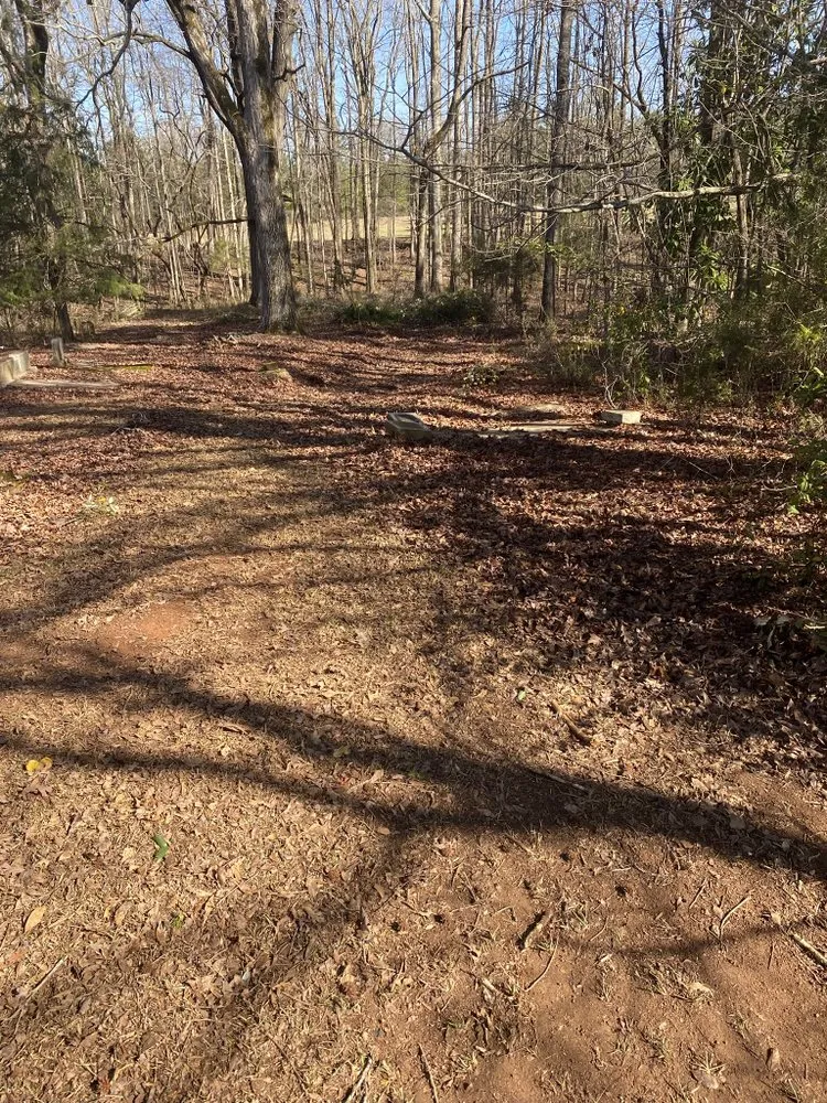 Trusted landscaping services in Gay, GA - Willis Lawn Care