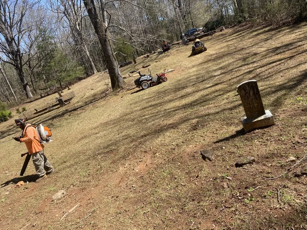 Professional yard cleanup service for beautiful yards across Gay, GA - Willis Lawn Care