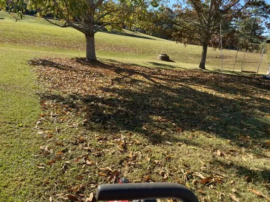 Willis Lawn Care