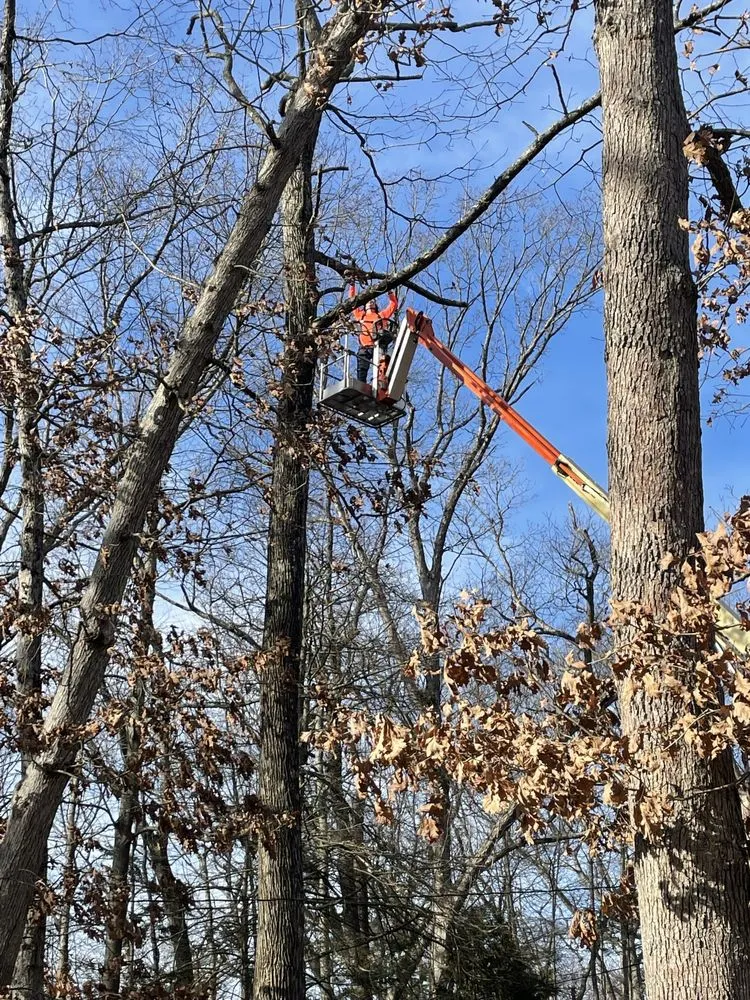Expert landscape installation in Seymour, CT - Willis Lawn Care