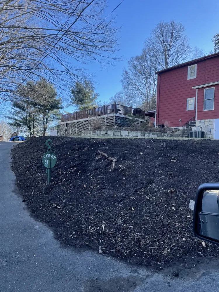 Professional yard cleanup service in Seymour, CT by Willis Lawn Care
