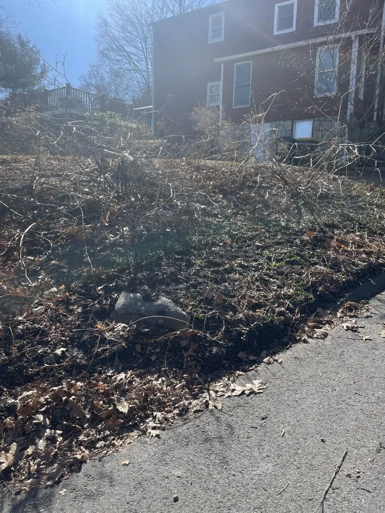 Local yard cleanup service near you in Seymour, CT by Willis Lawn Care