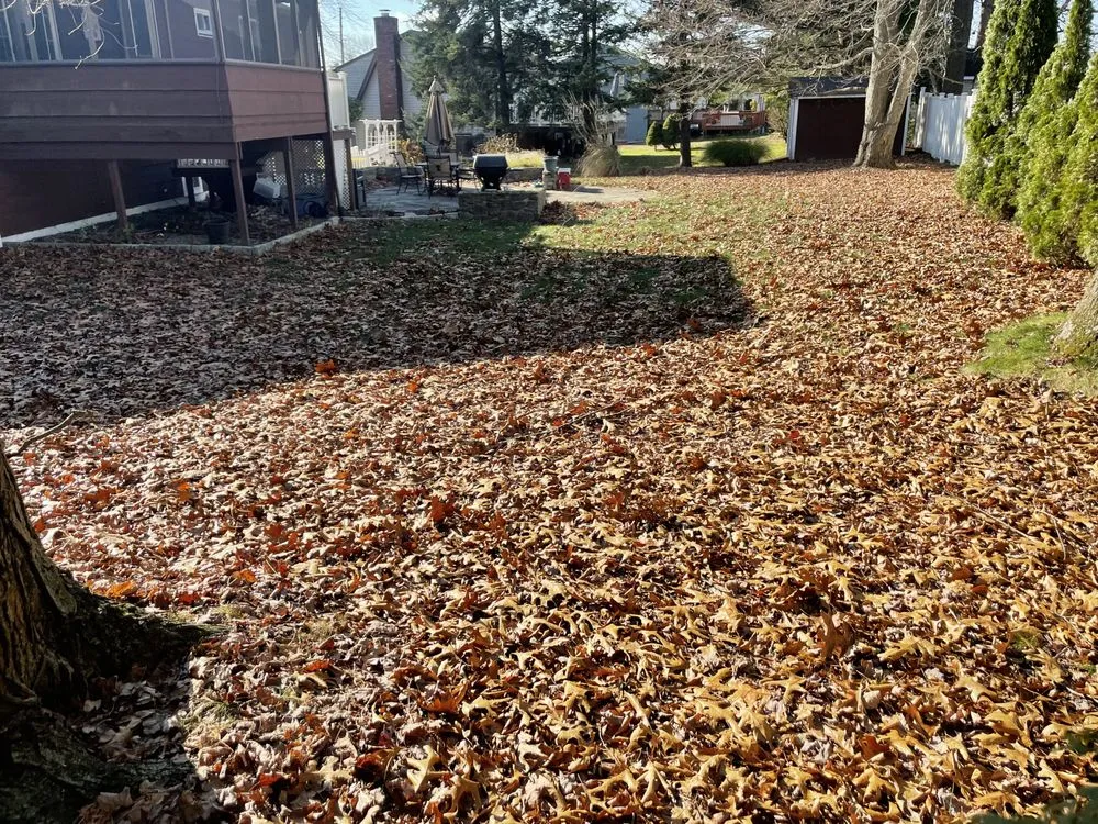 Custom landscaping services experts serving Seymour, CT - Willis Lawn Care